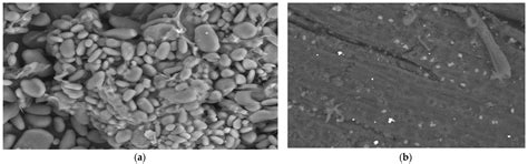 Equilibrium, Kinetics and Thermodynamics of Chromium (VI) Adsorption on ...
