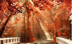 Fall Nature Computer Backgrounds by Fall Nature Desktop Wallpapers Top Free Fall Nature Fall Nature Computer Backgrounds