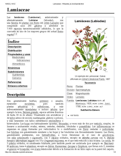 Lamiaceae - Wikipedia, la enciclopedia libre MMMMMM - 16/5/22, 19:52 Lamiaceae - Wikipedia, la ...