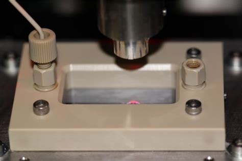 David Lab 的图像结果