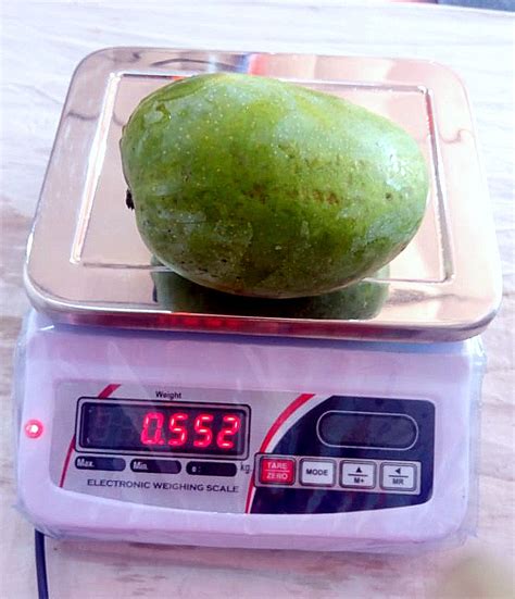 Kesar Mango Suppliers, Exporter, Manufacturing, Traders, Producers ...
