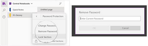 Image result for How to Add Password to OneNote Notebook