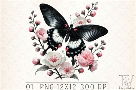 Image result for Spring Butterflies PNG