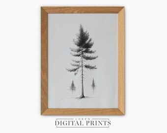 Buy Vintage Moss Tree Drawing Antique Sketch Print Botanical Printable ...