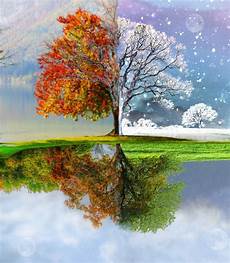 Season Picture by Prepping Your Home For The Changing Seasons Part 1 Of 4 Season Picture
