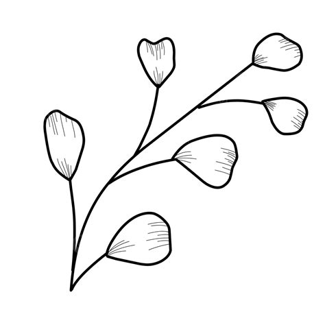 Hand Drawn Leaves, Leaves Drawing, Leaves Sketch, Leaves PNG Transparent Image and Clipart for ...