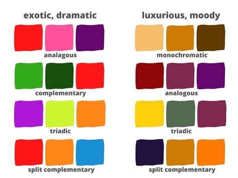 Image result for Complementary Flower Colors