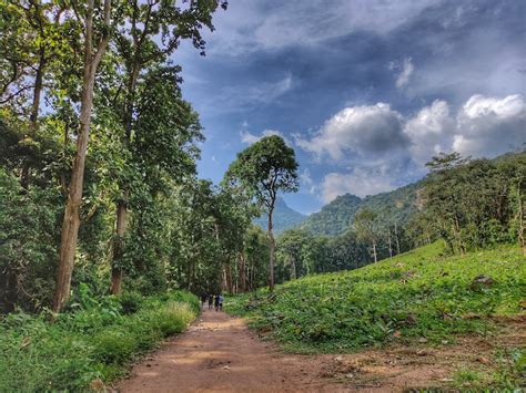 Dhoni Waterfalls, Palakkad - Hi Palakkad Tourist Places