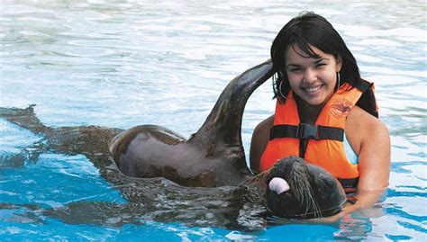Encuentro con lobos marinos en Aquaventuras Park, Puerto Vallarta ...