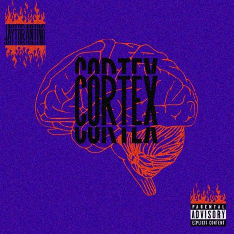 Image result for Cortex Type Beat