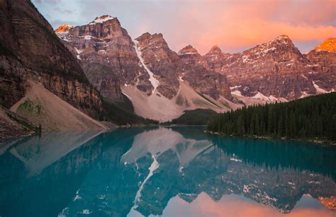 Beginner Photography Camera 的图像结果