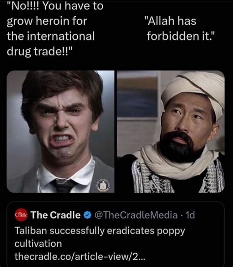 Image result for Memes Over Sampling Distribution