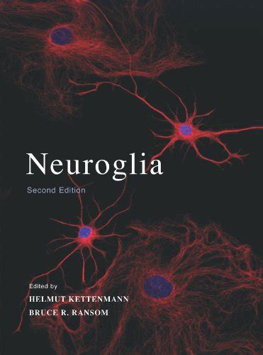 Neuroglia eBook : Kettenmann, Helmut, Ransom, Bruce R.: Amazon.in ...