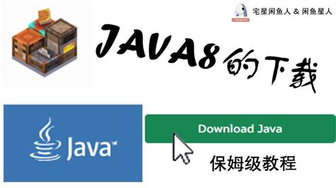Java 8 Installer 的图像结果