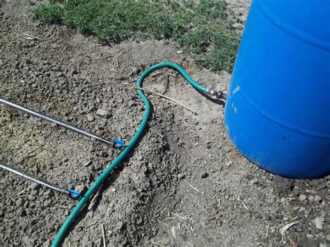 How To Install A Simple Drip Irrigation System - Design Talk