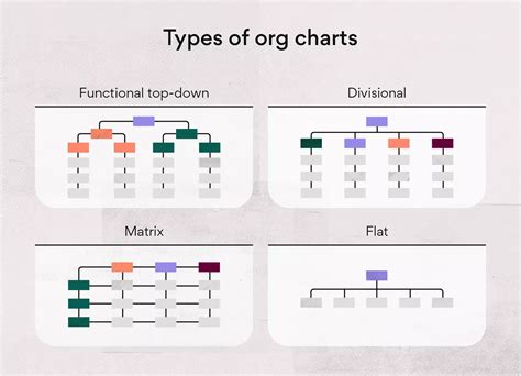 How Many Types of Organization Chart 的图像结果