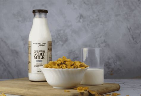 What Is Chèvre? The Essential Guide to Goat Cheese and Its Unique ...