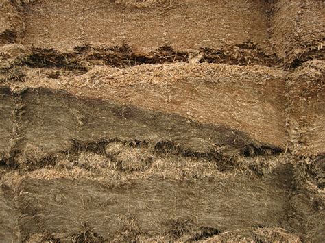 Silage Sampling Core 的图像结果