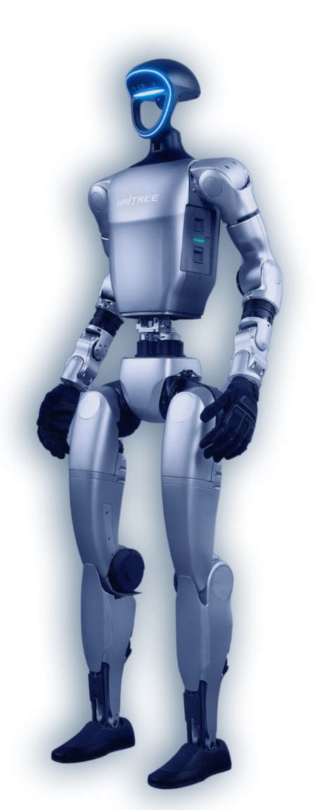 Humanoid Robotics Project 的图像结果
