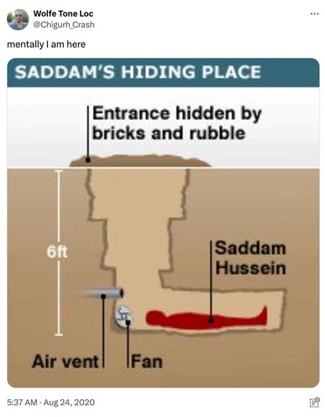 Saddam Hussein Hiding Place Memes