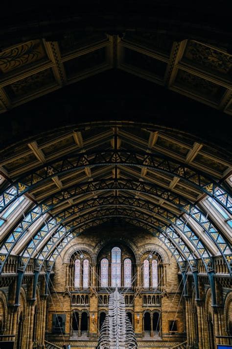 Image result for Ceiling Skeleton