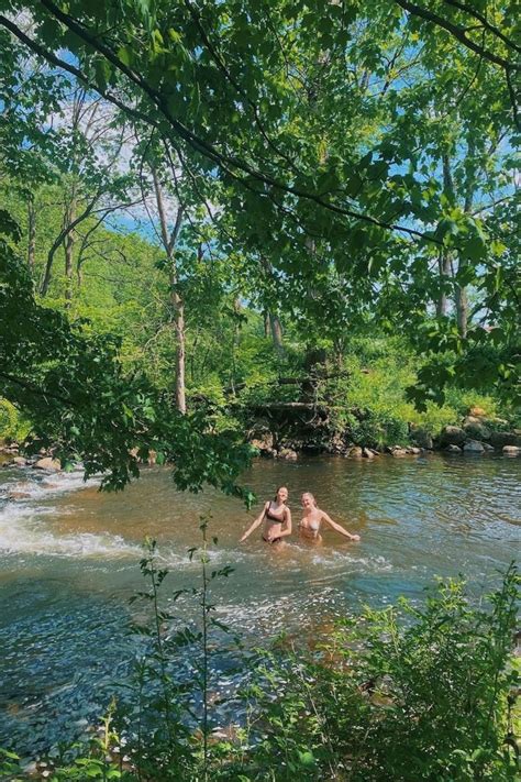 Nature Swim 的图像结果