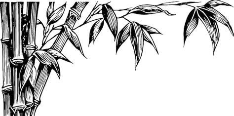 Black and white bamboo stalk corner segment for design and decoration ...