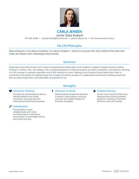 3 Junior Data Analyst Resume Examples & How-To Guide for 2024