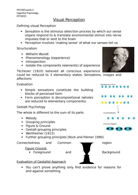 Perception Examples 的图像结果