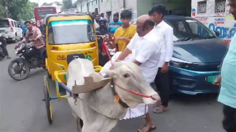 Watch: Former Tamil Nadu Minister D Jayakumar Rides Bullock Cart, Here ...