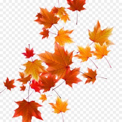 Vector Autumn Leaf Falling Transparent PNG - Pngsource