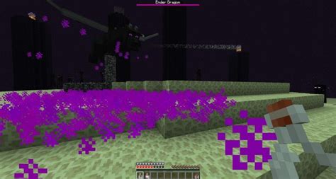 How To Farm Dragon Breath In Minecraft 1.18 And Its Usages