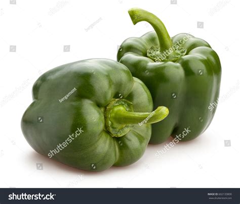 Green Bell Pepper Isolated Stock Photo 602133800 | Shutterstock