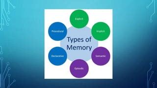 Types of Physique Language Learning 的图像结果