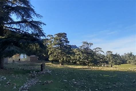 COMPLEXE HÔTELIER EL AZIZ (Theniet El Had) - Hotel Reviews & Photos ...