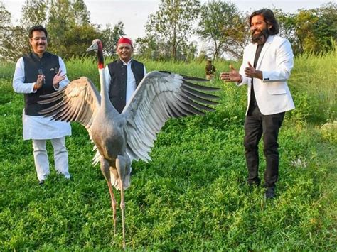 UP Man Who Took Care Of An Injured Sarus Crane For A Year Not Allowed ...
