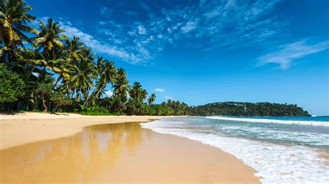 The climate of Sri Lanka and the best time to visit