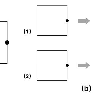 Shape Coding Examples 的图像结果