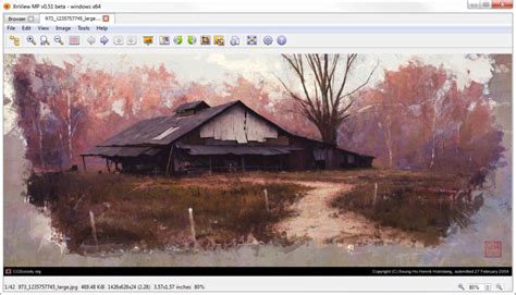 Image result for XnViewMP Logo