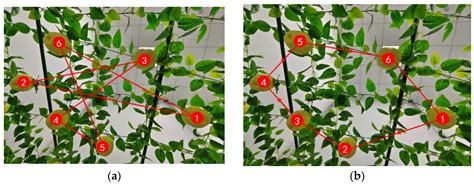 Construction and Optimization of a Collaborative Harvesting System for ...