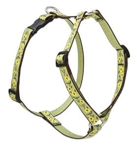 LupinePet 3/4" Suzie Q 20-32 Roman Dog Harness : Amazon.in: Pet Supplies