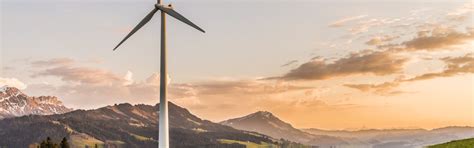 Ecology Examples 的图像结果