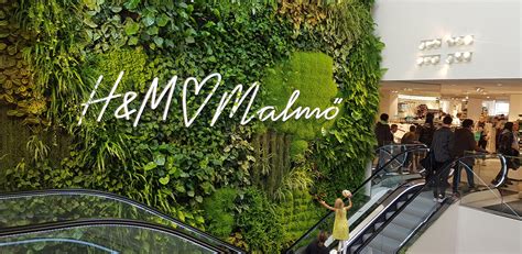 Visual Merchandisers, Take Note! Why Biophilic Design is Shaping the ...