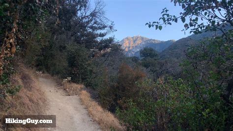 Mt Wilson Trail Hike