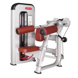 Sell Gym equipment/Professional Design BW-003A Delts Machine(id ...