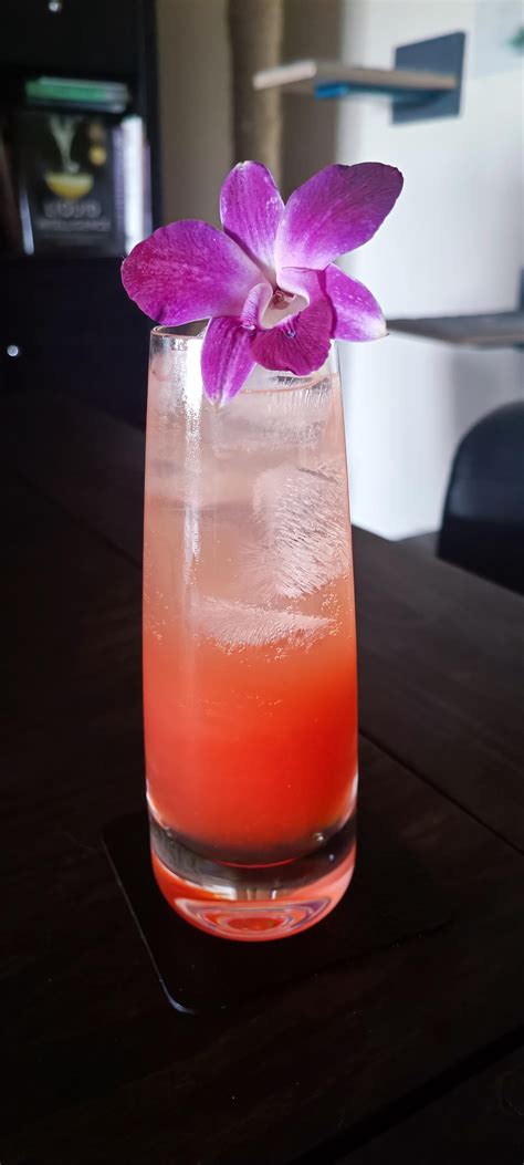 Bicycle Thief : r/cocktails