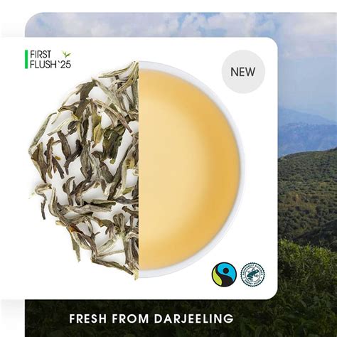 Buy First Flush Darjeeling Tea Online | 2024 Harvest | Teabox