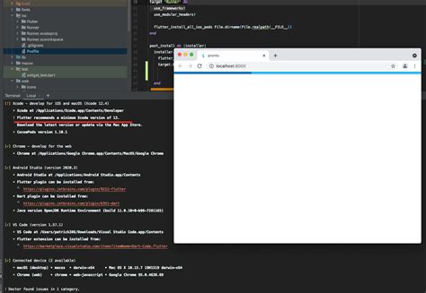 Flutter in Xcode 的图像结果