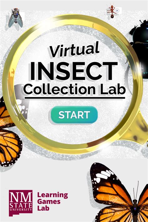 4-H Virtual Insect Collection 的图像结果