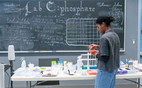 Fees and Enrollment | Bard College